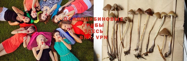 COCAINE Бронницы
