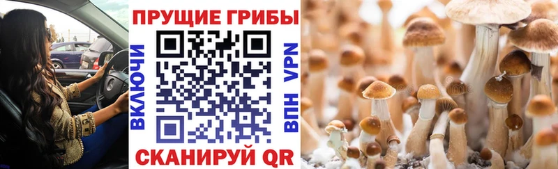 гидра сайт где купить наркотик Обь Галлюциногенные грибы GOLDEN TEACHER